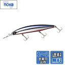 ダイワ(DAIWA) ショアラインシャイナーZ セットアッパー 125S-DR カタクチレッドベリー ルアー