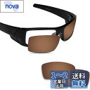 Fiskr 剥がれ防止 Oakley Gascan交換用レンズ ガスカン 偏光レンズ(4)