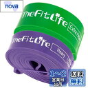 TheFitLife トレーニングチューブ 筋トレチューブ 懸垂チューブ (紫/緑)(4)