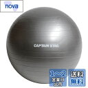 キャプテンスタッグ(CAPTAIN STAG) エクササイズ フィットネス 体幹トレーニング フィットネスボール Φ55cm シルバーホワイト Vit Fit ...