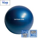 キャプテンスタッグ(CAPTAIN STAG) エクササイズ フィットネス 体幹トレーニング フィットネスボール Φ55cm ブルー Vit Fit UR-860(4)