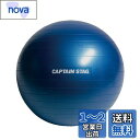 キャプテンスタッグ(CAPTAIN STAG) エクササイズ フィットネス 体幹トレーニング フィットネスボール Φ65cm ブルー Vit Fit UR-862(4)