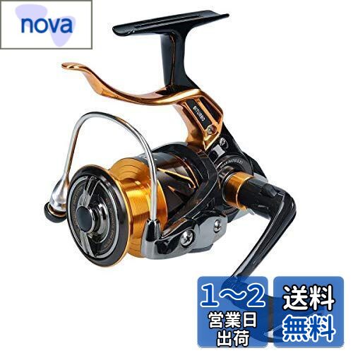 (DAIWA) ԥ˥󥰥꡼(С֥졼) 19 饰 3000LBD(2019ǥ)