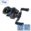 ダイワ(DAIWA) ベイトリール 19 スティーズ CT SV TW 700SHL(2019モデル)