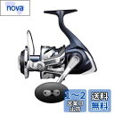 シマノ(SHIMANO) スピニングリール ソルトウォーター ツインパワー SW 2021 10000HG オフショアジギング オフショアキャスティング