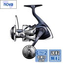 シマノ(SHIMANO) スピニングリール ソルトウォーター ツインパワー SW 2021 8000PG オフショアジギング オフショアキャスティング