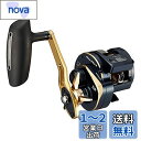 ダイワ(DAIWA) 21 ソルティガIC 300H-SJ