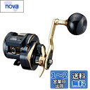 ダイワ(DAIWA) 21 ソルティガIC 300L