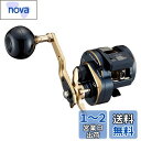 ダイワ(DAIWA) ジギング 21 ソルティガIC 300
