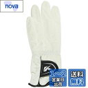 キャスコ(Kasco)ゴルフグローブ 合成皮革 DNA SUEDE SF-2010 左手用