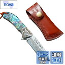 Dcenrun アウトドアナイフ フォールディングナイフ 【瑠璃】 折りたたみナイフ 魚 料理 釣り アワビ貝ハンドル(4)