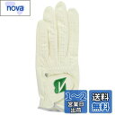 BRIDGESTONE(ブリヂストン) ゴルフグローブ TOUR GLOVE GLG12C 限定カラー