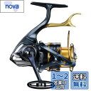 シマノ(SHIMANO) スピニングリール 21 BB-X テクニウム 2500DXG SR 磯