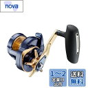 ダイワ(DAIWA) ベイトリール 22 ソルティガ 15HL(2022モデル)