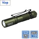 ACEBEAM Pokelit AA 懐中電灯 小型 軽量 強力 550ルーメン単三 3段階調光 高演色性 Ra90 IP68防水 最大9日の実行時間 安定した...