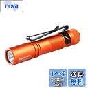 ACEBEAM Pokelit AA 懐中電灯 小型 軽量 強力 550ルーメン単三 3段階調光 高演色性 Ra90 IP68防水 最大9日の実行時間 安定した...