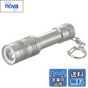 オーム電機 懐中電灯 LEDミニライト 防水ライト シルバー LH-MY41-S2 08-1003 OHM