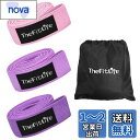 TheFitLife トレーニングチューブ 筋トレチューブ ゴムチューブ レジスタンスバンド ストレッチバンド フィットネスバンド (ピンク/ラベンダー/パープ...