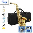 Eastar アルトサックス E Saxophone ゴールドラッカー サクソフォン ケース付き お手入れセット クリスマス(演奏用) AS-3