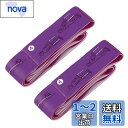 バレエ ストレッチバンド フィットネスバンド 開脚ストレッチバンド エクササイズ ヨガ/ダンス/体操/バレエ/テコンドーなど器具 ヨガストレッチ用 トレーニングベルト 子供向け 柔軟運動 トレーニング 子ども開脚ストレッチバンド 調整可能 滑り止め 高弾性 運動 筋肉強