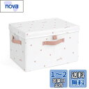 NEOVIVA 収納ボックス ふた付き 折りたたみ かわいい 収納ケース 衣類 収納 かご おしゃれ 収納バスケット 大容量 耐久性 ホワイト S