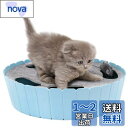 猫おもちゃ 電動 ネズミ Pawaboo ねこおもちゃ 猫用電動おもちゃ 電動ネズミ 自動 ネズミを捕らえる 隠す 追う 猫おもちゃ ネコ遊び 一人遊び 留守番 肥満対策 運動不足解消 ストレス解消 ペット用 SKYBLUE