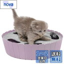 猫おもちゃ - Pawaboo 電動式 ネズミを捕らえる 隠す 追う 猫おもちゃ ネコ遊び 運動 ベット用 TARO PURPLE