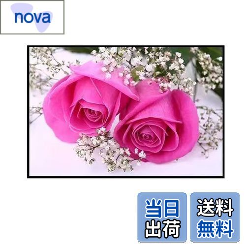 ̵Mestiker륹ƥå ޥåʲ Pink Rose Wall Sticker Decor ǥ Х롼 å...