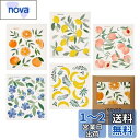 Recyco セルロース ふきん クロス 5枚セット キッチンクロス 17×19cm 天然繊維 台拭き 防臭 スポンジワイプ フルーツ ぐんぐん吸水 速乾 耐久...