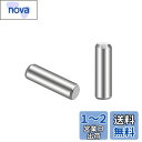 Edinstry 円筒ピン ステンレスピン 3x10mm ダウエルピン 鋼 棚ペグ シルバートーン サポートシェルフ 平行ピン ピン 100pcs