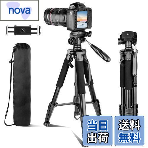 【送料無料】Aureday 190c