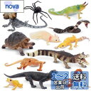 TOYMANY 12PCS動物フィギュア 野生動物フィギュアセット リアルな動物模型 動物園主題 人気動物 おもちゃ 玩具 誕生日プレゼント 飾り物 クリスマス 新年 六歳以上(3)