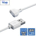 YFFSFDC 磁気充電ケーブル マグネット USB充電ケーブル 急速充電 安定 磁気吸着 チャージャーケーブル 洗顔ブラシ バイブアタッチメント ハンディマッサージャー 対応 (2ピン間の距離6mm)