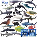 TOYMANY 24PCS海洋生物フィギュア 海の生き物フィギュアセット ミニ動物フィギュア ミニ海洋動物モデル リアルな動物模型 海洋おもちゃ 人気動物 玩具...