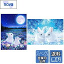 サムコス ダイアモンドアート キット 2枚入り 初心者向け ダイアモンド塗装 ビーズアート 全面貼り付け 壁飾り DIY手工芸品 ダイアモンドアート
