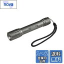 エルパ(ELPA) LED懐中電灯 防水 明るさ250ルーメン ハンドストラップ付き 電池式 電池残量表示 シルバー DOP-EP420