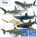 TOYMANY 動物フィギュア 6PCSサメフィギュア 海洋動物フィギュアセット 12cm〜14cm 生物 魚類 海の生き物 リアルな動物模型 サメ好き 人気動...