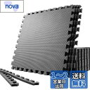 SOLPEX トレーニング ジョイントマット エクササイズマット 防音 衝撃吸収マット ホームジム 大判 ジムマット 60cm×60cm×1.2cm 6/24枚 キズ防止 高硬度 振動吸収 床保護 抗菌 トレーニング器具用マット サイドパーツ付 (2枚 BLACK)