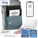 NIIMBOT B1 ラベルメーカー ラベルライター 感熱ラベルライター 値札プリンター DIY ラベル 商業プリンター 宛名ラベルメーカー 2 インチ Blu...