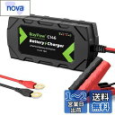 RoyPowリン酸鉄リチウムイオンバッテリー充電器 14.4V10A バッテリーチャージャー トリクルチャージ バッテリー活性化LEDランプ 逆接続&ショート&過電圧&過電流保護'