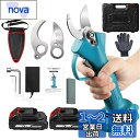 Elikliv 充電式剪定ばさみ 電動ハサミ 剪定 ブラシレスモーター採用 開き口30mm 高枝切りの延長ポールと接続可能 4段階開き角度調整可能 電動剪定ばさみ 枝切り電動はさみ 庭木 果樹用 剪定鋏 園芸用剪定用具 2個バッテリー 収納ケース 予備刃 日本語取扱説明書付き