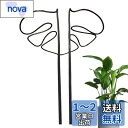 GLOWZEN モンステラ 支柱 園芸支柱 観葉植物 植物サポート 花支架 ガーデニング支柱 モンステラフラワースタンド 農業用 園芸用 成長段階 植物倒れ防止 手で調整可能 1個入り(黒)