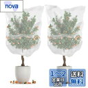 SensaBliss 防虫ネット 植物保護カバー 防鳥ネット 2枚入り メッシュ巾着式 通気性 虫鳥除け網 虫除け ネット 透明 虫よけカバー 家庭菜園 野菜栽培 花壇 果樹 プランター 鉢植え用 園芸ネット すっぽり カバー キット ベランダ 庭 畑 玄関 防風 防虫 鳥対策(100×80cm