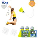 【送料無料】KASELIN 室内バドミントンセット 1人バドミントン 自動リバウンド 練習器具 家での練習 バウンド練習補助 愛好者対応 自己粘着 吊り下げ 持ち運びに 便利 軽量 弾性 初心者 3球付き/6球付き (3つのボール)