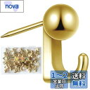 5WYOUKE【30個入】 石膏ボード フック 画鋲 フック ピンフック 耐荷重約5kg 壁 傷つけない おしゃれ ゴールド ミニ 目立たない 押しピン 賃貸 絵画 額縁 時計 カレンダー 飾り用 壁掛け フック 石膏ボード ベニヤ板 木用 フック 収納ケース 付き