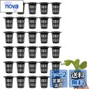 【送料無料】LIKENNY 水耕栽培鉢 定植かご プラスチックメッシュポット 植物育成カップ 水耕栽培ポット 園芸 庭園 ガーデンニング 苗運搬 植物栽培 無肥...