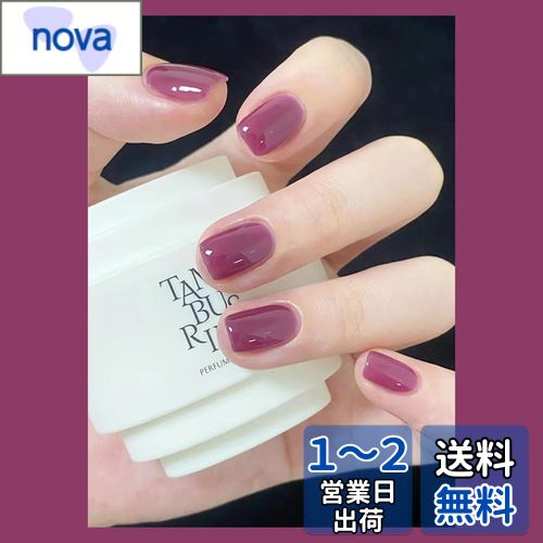 Fuyunohi ネイルチップ ショート つけ爪 短め ショートネイルチップ 無地 パープル 韓国 両面テープ付き 簡単に取り付け 24枚セット DIY 便利 ネイル用品 ビューティー ファッション 小物 日常 通勤 デート 成人式 おしゃれ(パープル)