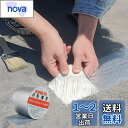 TINYMATCH 水漏れ防止テープ 10cm*10m 屋外 防水用ブチルテープ 耐熱耐低温 高粘着性多用途強力 防水 テープ コンクリート 屋根 壁 耐水雨漏り補修テープ 修理の亀裂 トラックひび割れ補修 パイプ ホース 水道管水漏れ補修テープ 金属防水アルミテープ ガレージ防水 ビニ