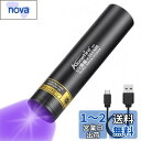 Alonefire SV57 小型 3W 紫外線 ブラックライト波長365nm C型USB充電式 アニサキスライト ウッド灯検査 UV LED ライト ポータブル マネー ペット尿検出器 釣り 鉱物 鑑定 猫真菌 真贋用 内蔵電池 付き