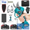 Elikliv 電動剪定バサミ 充電式剪定ばさみ 電動ハサミ 剪定 ブラシレスモーター採用 延長ポールと接続可能高枝切りバサミ たかえだきりはさみ 切断直径30mm開き角度調整可能 軽量 枝切りハサミ 庭木 果樹用 剪定鋏 園芸用剪定用具 2個バッテリー 収納ケース 予備刃 日本